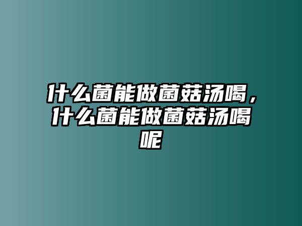 什么菌能做菌菇湯喝，什么菌能做菌菇湯喝呢