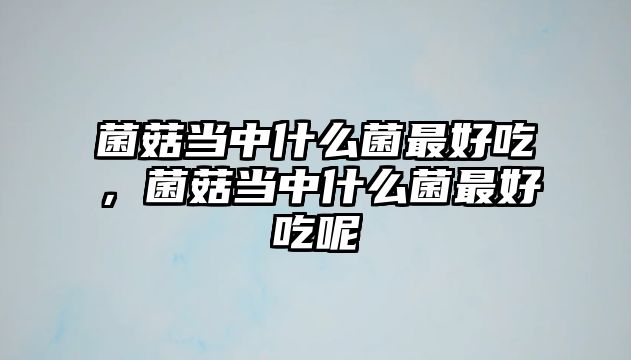 菌菇當(dāng)中什么菌最好吃，菌菇當(dāng)中什么菌最好吃呢