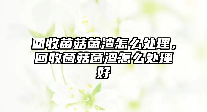 回收菌菇菌渣怎么處理，回收菌菇菌渣怎么處理好