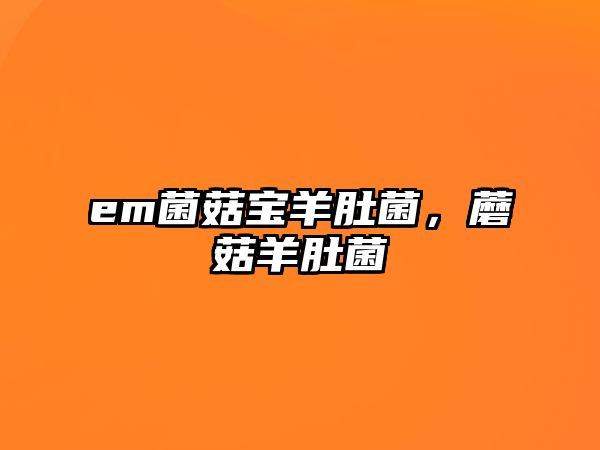 em菌菇寶羊肚菌，蘑菇羊肚菌