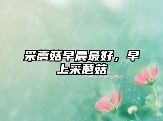 采蘑菇早晨最好，早上采蘑菇