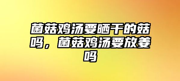 菌菇雞湯要曬干的菇嗎，菌菇雞湯要放姜嗎