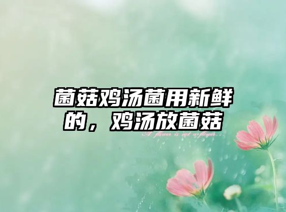 菌菇雞湯菌用新鮮的，雞湯放菌菇