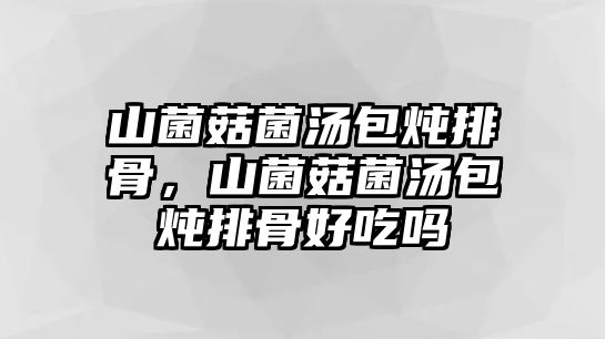 山菌菇菌湯包燉排骨，山菌菇菌湯包燉排骨好吃嗎