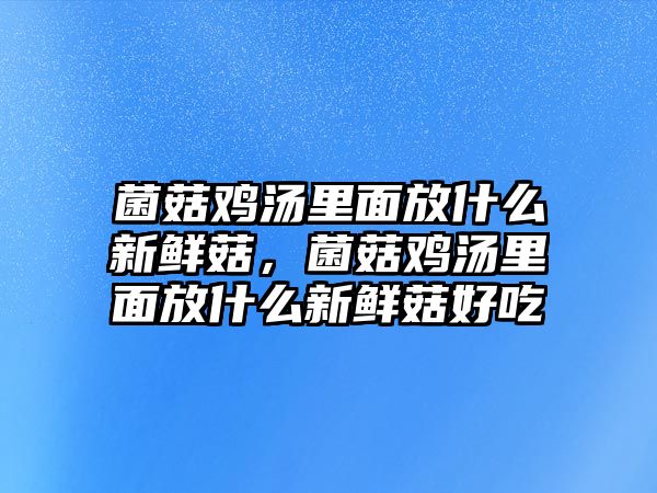 菌菇雞湯里面放什么新鮮菇，菌菇雞湯里面放什么新鮮菇好吃