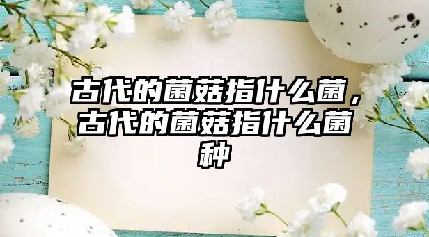 古代的菌菇指什么菌，古代的菌菇指什么菌種