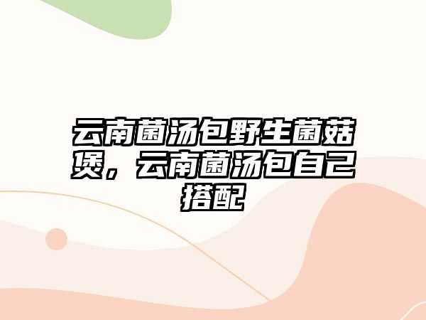 云南菌湯包野生菌菇煲，云南菌湯包自己搭配