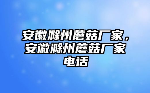 安徽滁州蘑菇廠家，安徽滁州蘑菇廠家電話