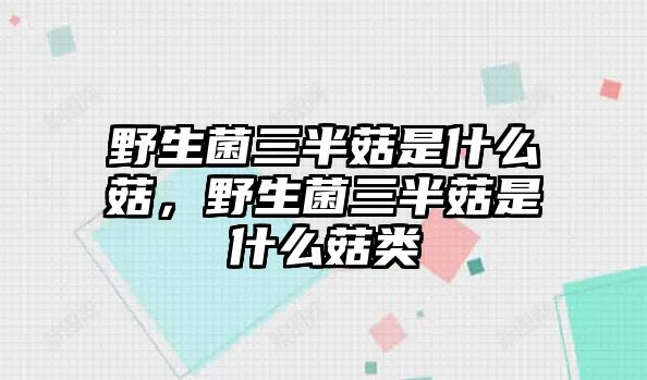 野生菌三半菇是什么菇，野生菌三半菇是什么菇類