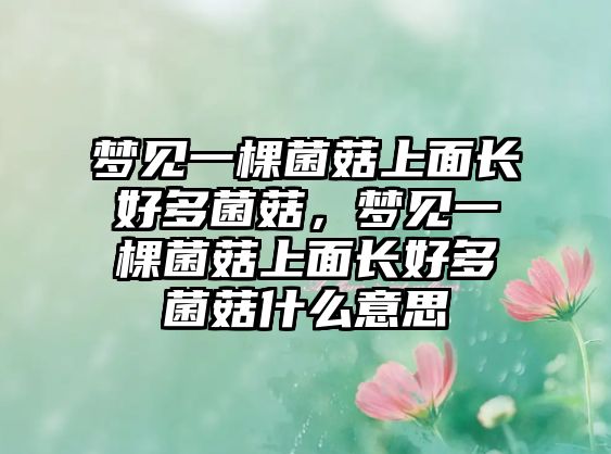 夢見一棵菌菇上面長好多菌菇，夢見一棵菌菇上面長好多菌菇什么意思